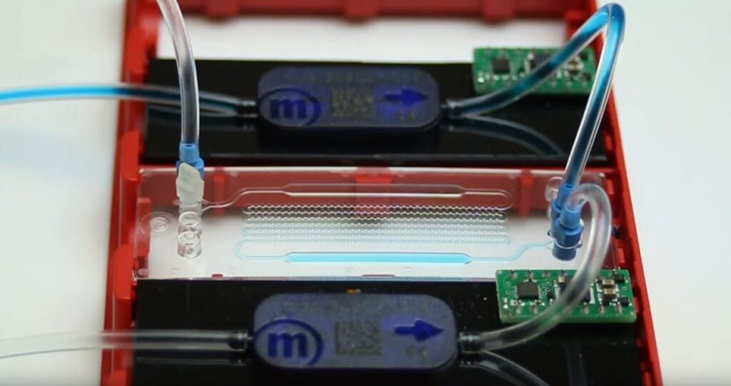 Lab-on-a-chip application with the mp6 micropumps and the chips from microfluidic ChipShop